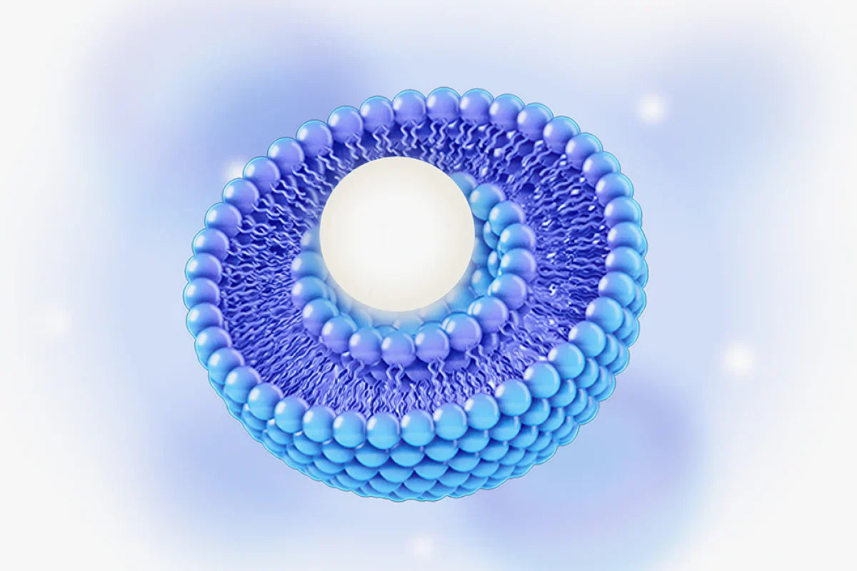 Liquid Supplements for Gut Health: Benefits, Best Picks, and What to Know