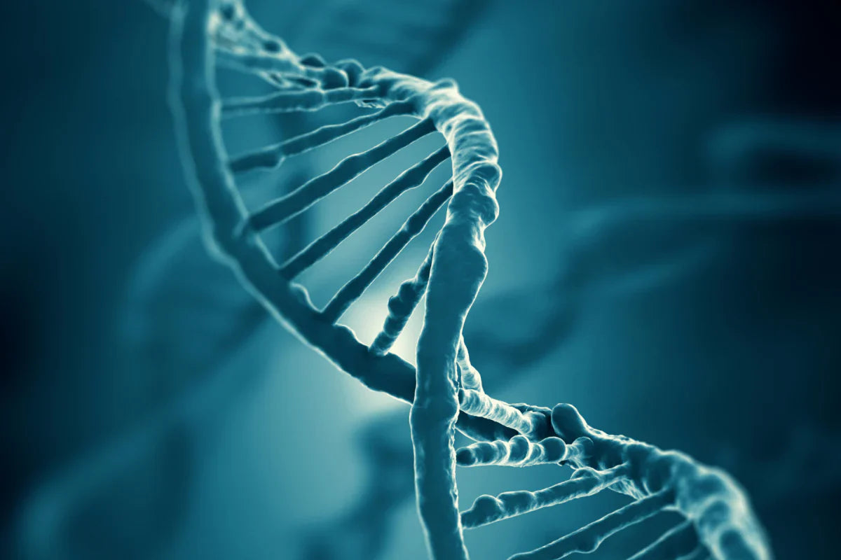 Methylene Blue vs NAD+: What’s the Difference?