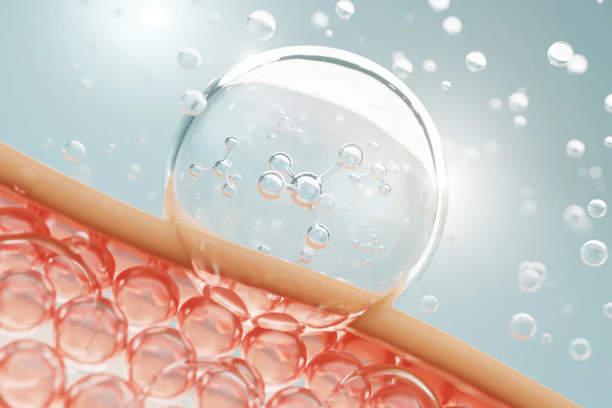 A Complete Guide to Understanding Liquid Vitamins