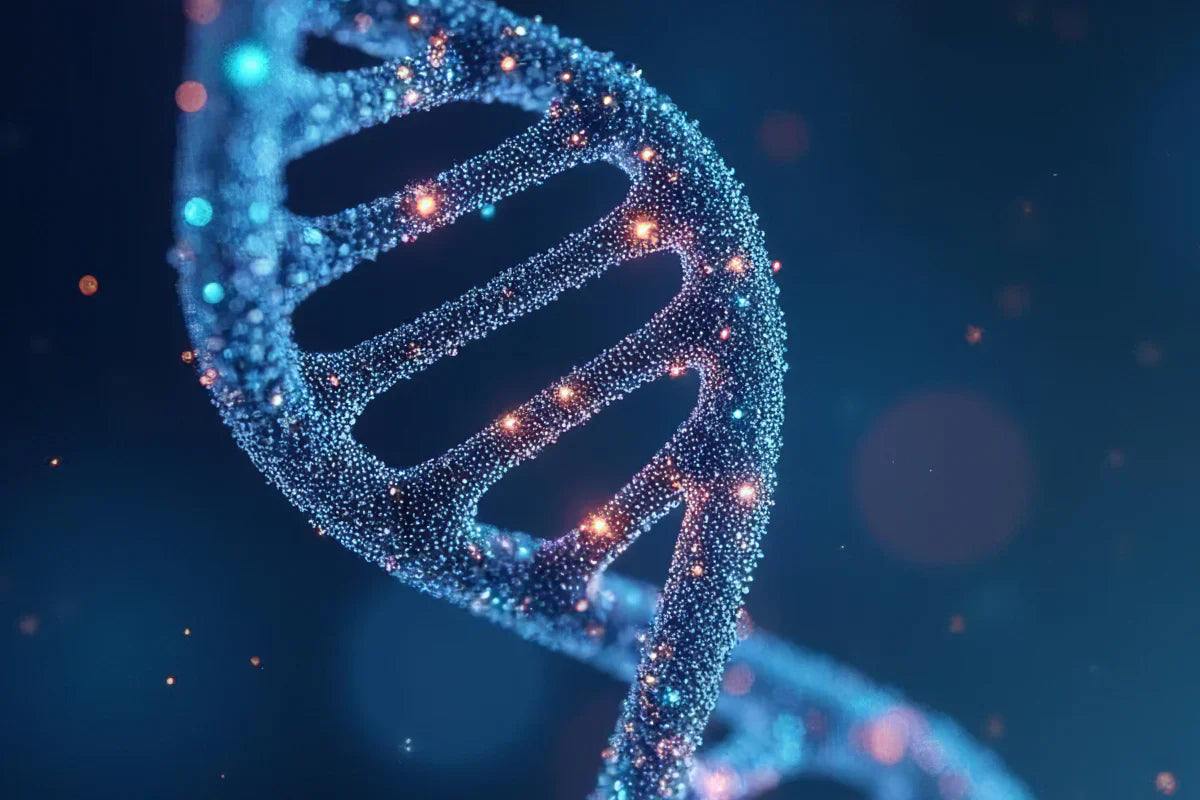 How to Increase NAD+ Naturally: Understanding NAD+ and Lifestyle Factors