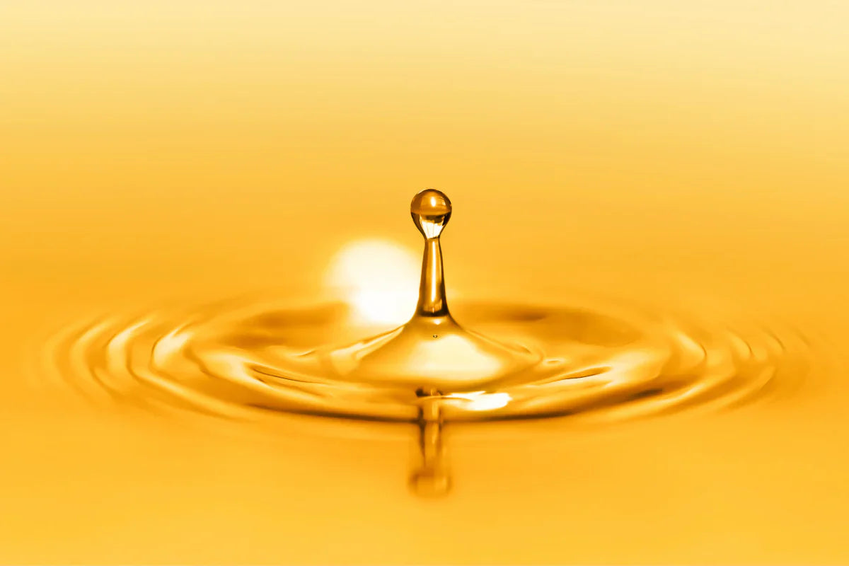 Fat-Soluble vs. Water-Soluble Liposomal Vitamins: Differences & Similarities