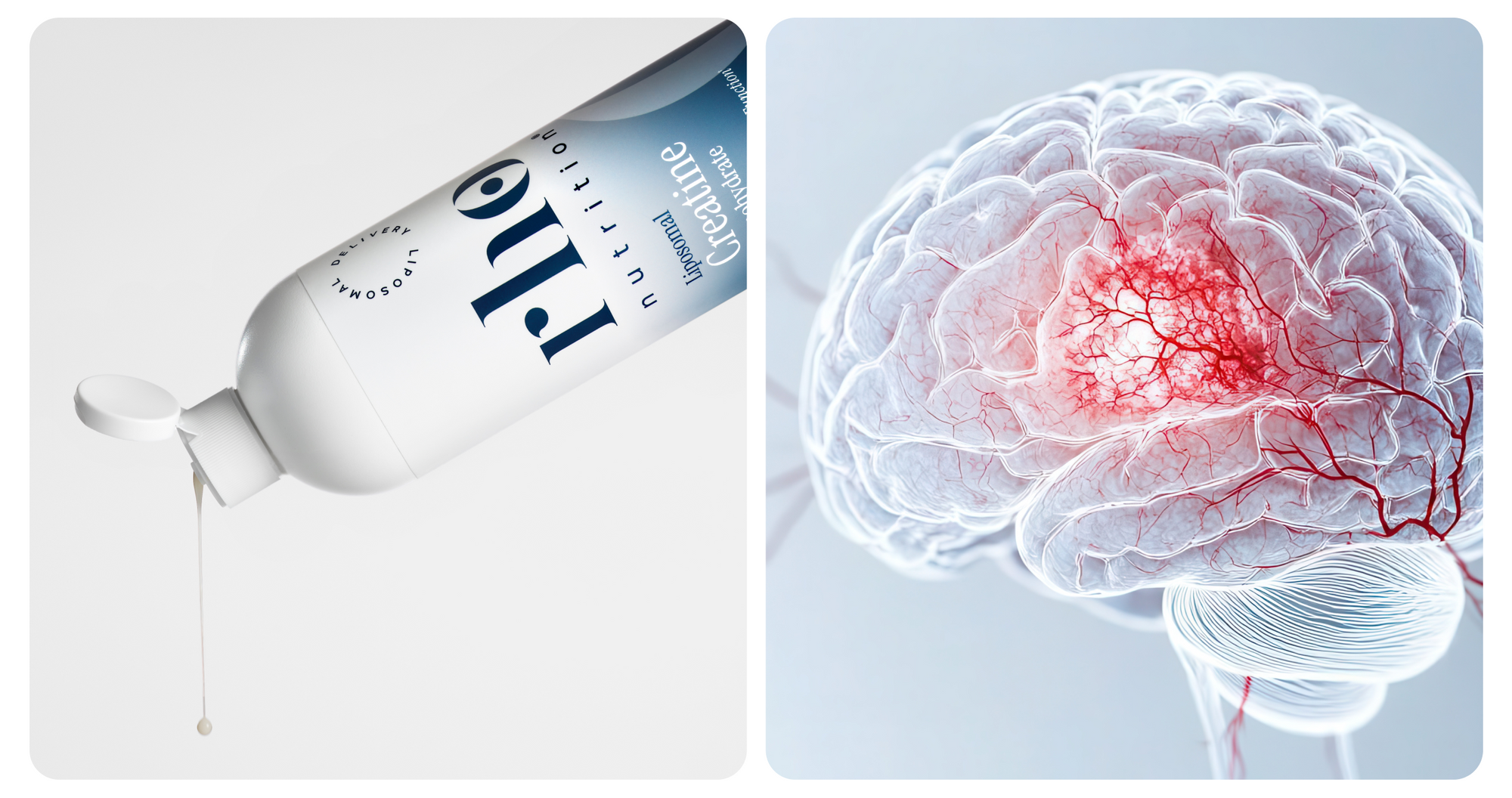 CoQ10 Product