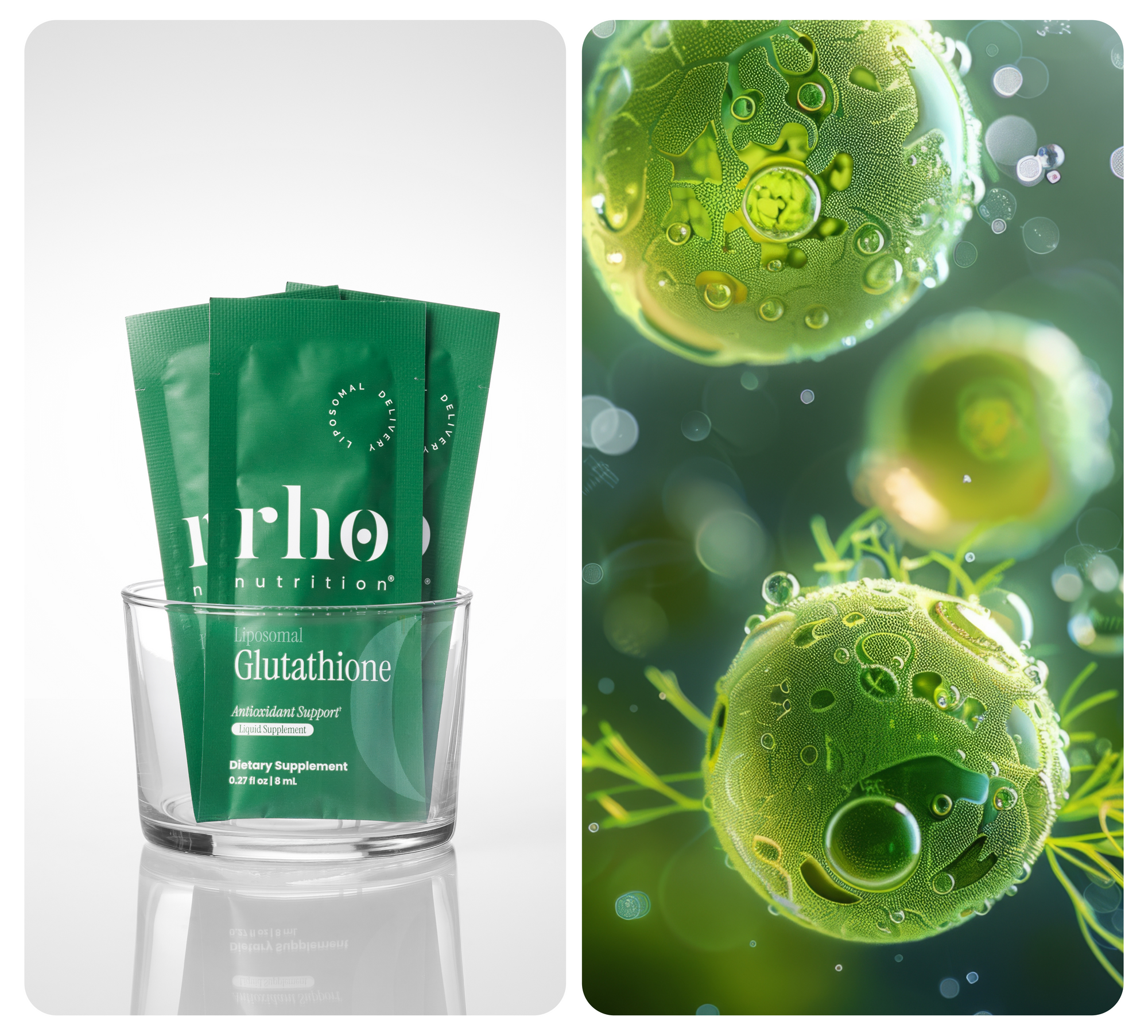 CoQ10 Product