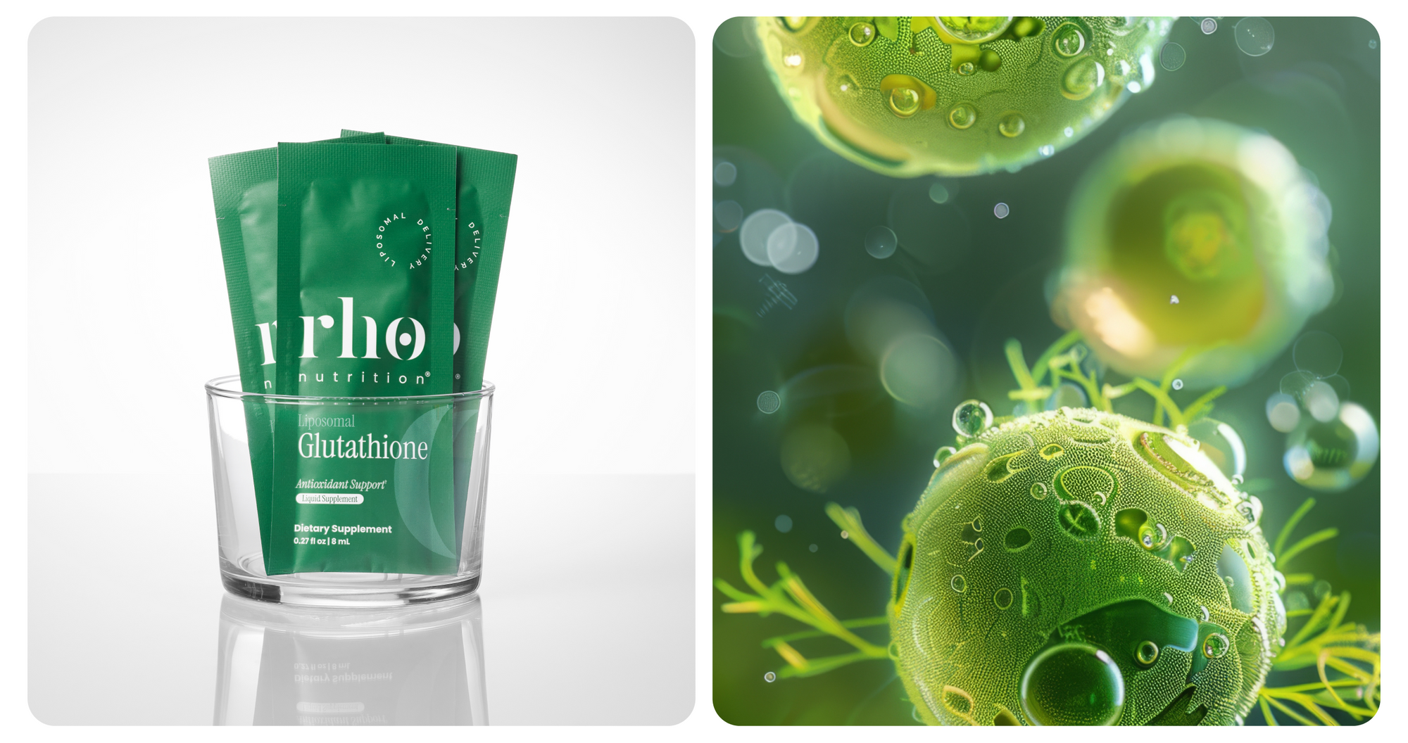 CoQ10 Product