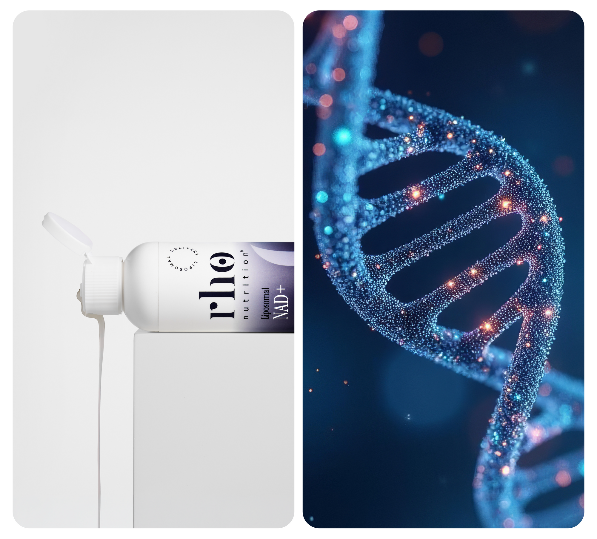 CoQ10 Product