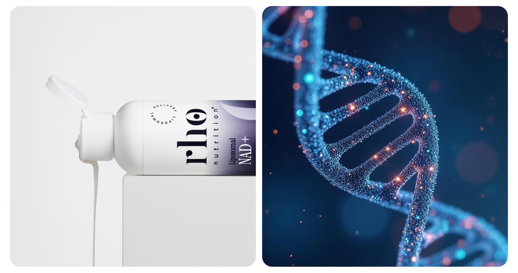 CoQ10 Product